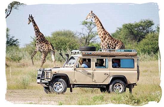 game drive