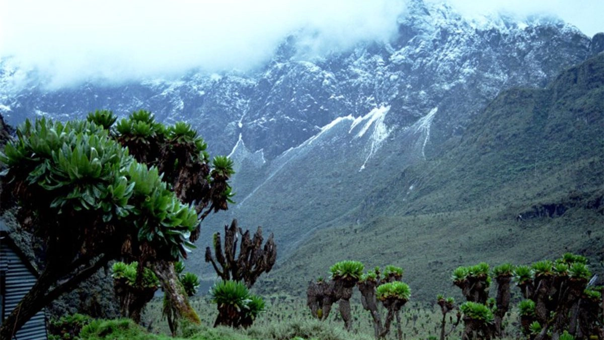 Rwenzori Mountains: Uganda’s Mountains of the Moon