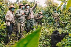 Gorilla Trekking Tours in Uganda