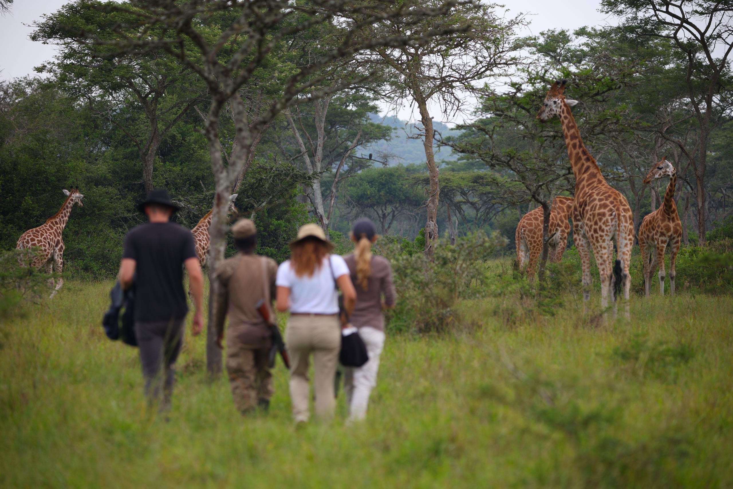 Uganda Tours for First Timers: Must-See Destinations