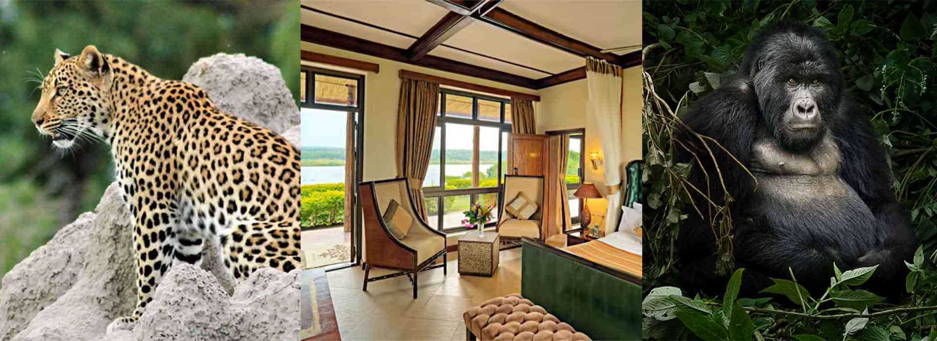 What’s Included in an All-Inclusive Uganda Safari?