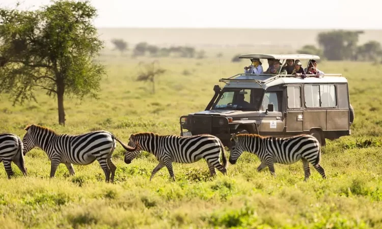Uganda safari