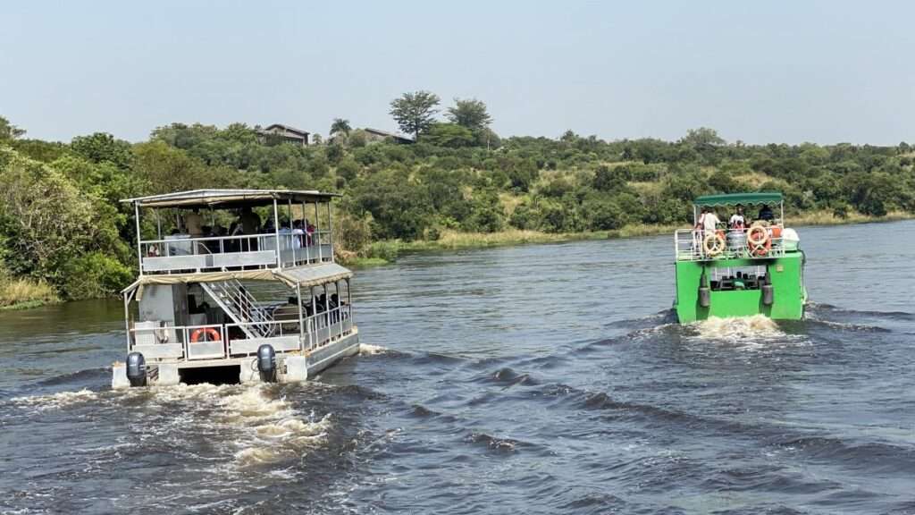Boat safari
