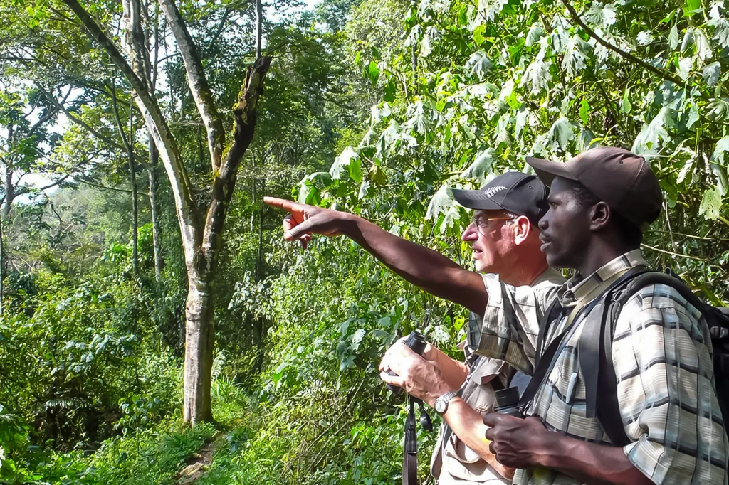 Birding beyond the tourist
