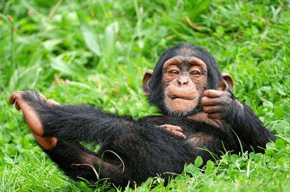 7 Day Uganda safari